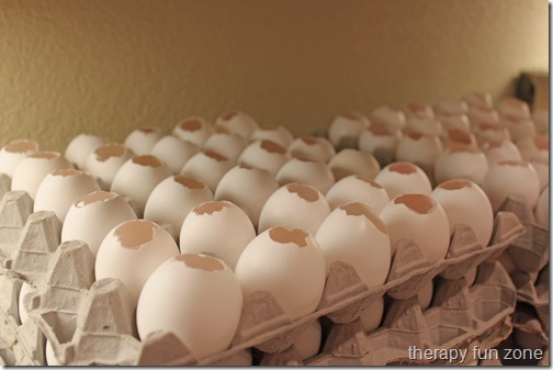 confetti eggs 2web