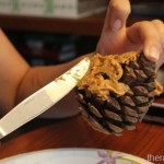 Pine Cone Bird Feeder and Spreading with a Knife