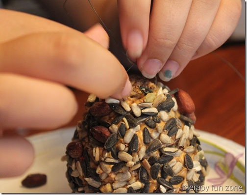 pine cone bird feeder 4web