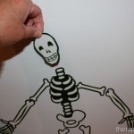 A cute skeleton activity