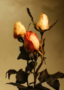 Rosebud painting