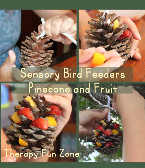 Sensory Bird Feeders