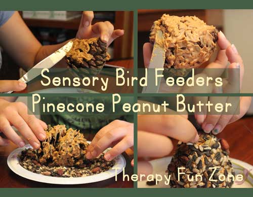 sensory-bird-feeders-peanut-butter