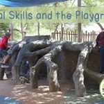 Developing Visual Skills and the Playground