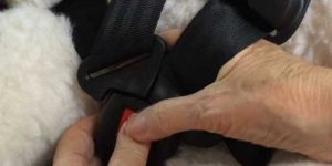UnBuckle Me