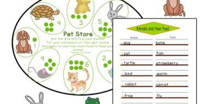 Fine Motor Pet Feeding